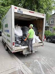 Best Residential Junk Removal  in Rapid City, MI